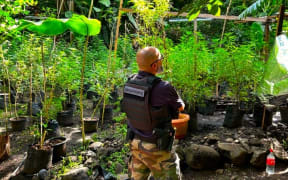 French Polynesia’s Gendarmes have carried out a major operation against drug traffic from 15 to 24 March 2024.