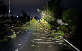 Downed power lines and trees seen on the Gold Coast after severe storms.