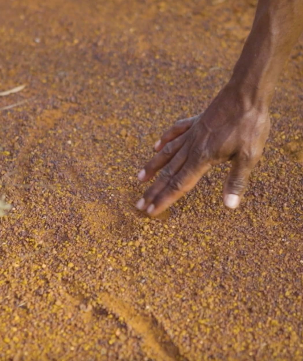 Uncle Des searching for kangaroo footprints