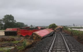 A train carrying logs and pulp derailed on Sunday morning 29/01/23