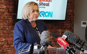 National Party leader Judith Collins announces the party's $4b transport infrastructure plan for Wellington and the Hutt Valley, on 5 August 2020.