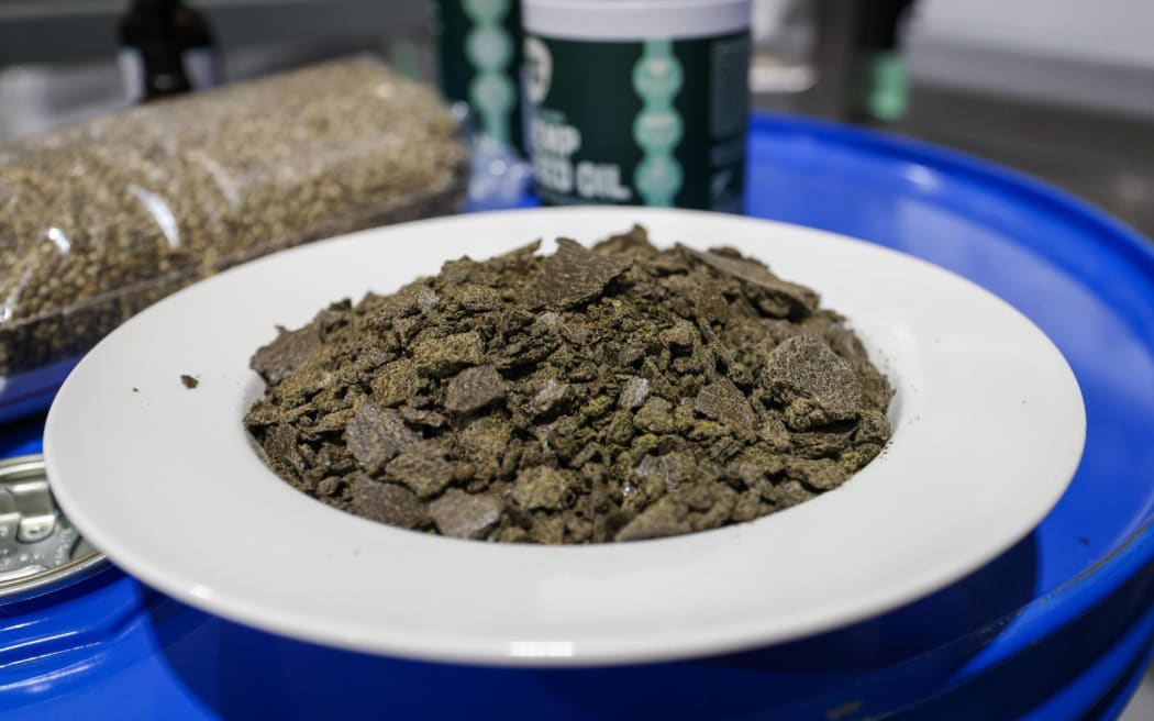 David Seymour at hemp business in Ashburton