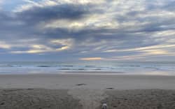 Residents were walking dogs along Wainui beach about 7.30am today, prior to alert messages telling people to stay away from the water.