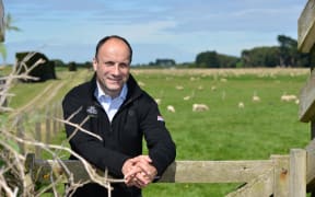 Alliance chief executive David Surveyor