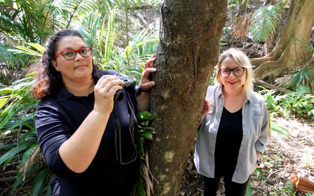 Beth Mott (left), with Holly Parsons, says she is often cold and wet but full of excitement when conducting night-time microbat surveys.