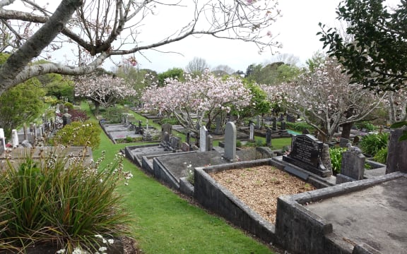 The volunteers' efforts are noticable across Te Henui Cemetery where flowers are in bloom, creating a beautiful landscape