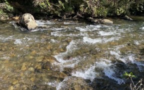 Rivers flowing through urban parks and reserves have often already been contaminated by farmland upstream.