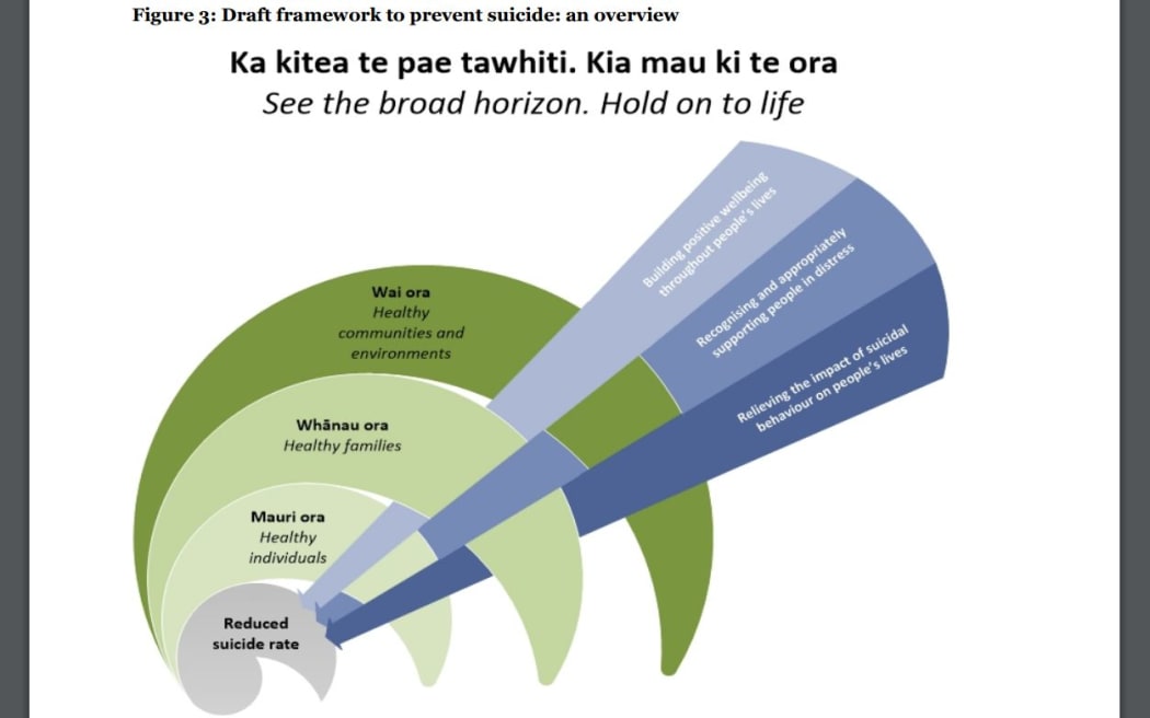 The 'draft framework to prevent suicide' diagram in the draft plan.