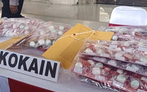 The cocaine was allegedly found in 206 small packages.
