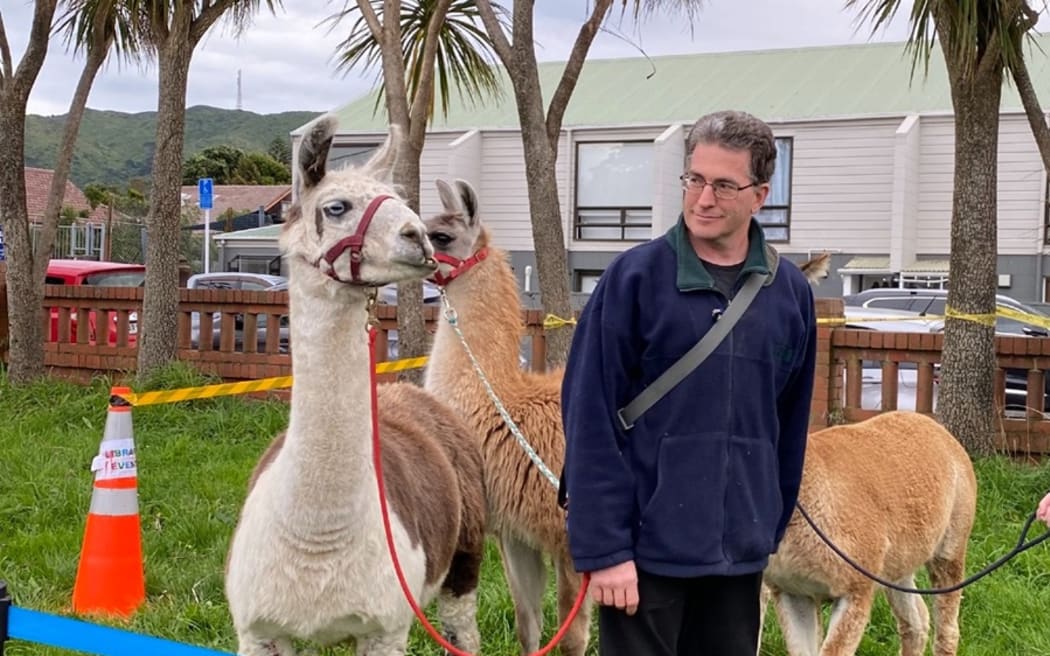 Stephen Mulholland with lllama, alpaca and guanaco.
