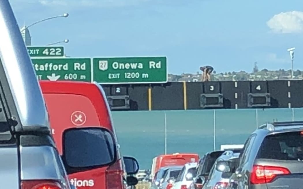A man climbed the overhead signs at Auckland Harbour Bridge.