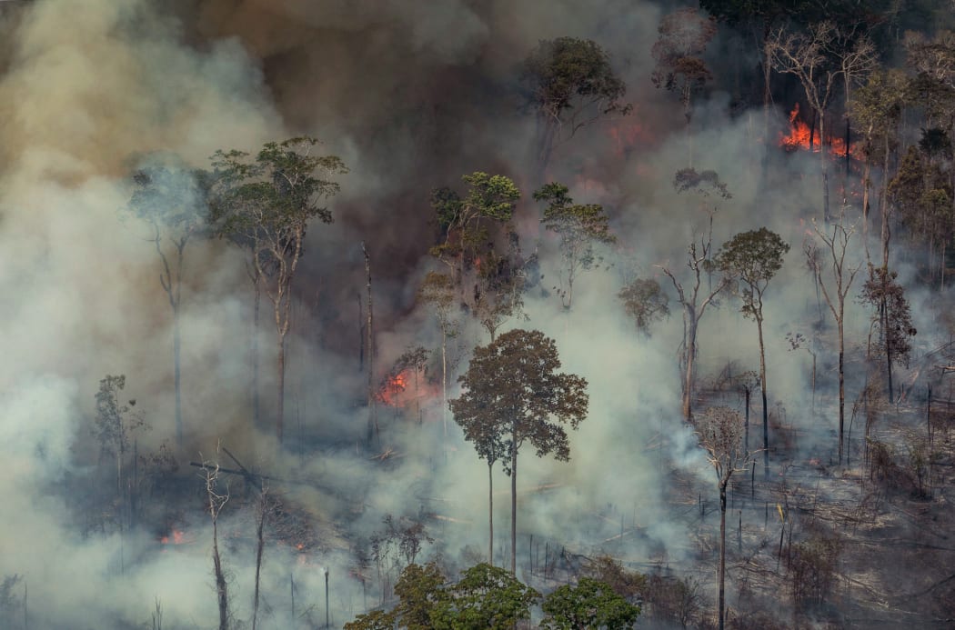 Smoke billowing from forest fires in the municipality of Candeias do Jamari in Rondonia State, 24 August.