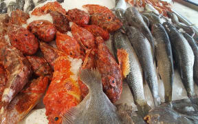Auckland Fish Market