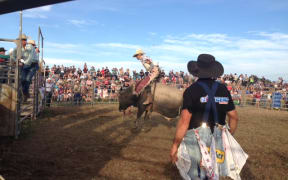 A cowboy in action at Martinborough's Pukemanu Bull Ride.