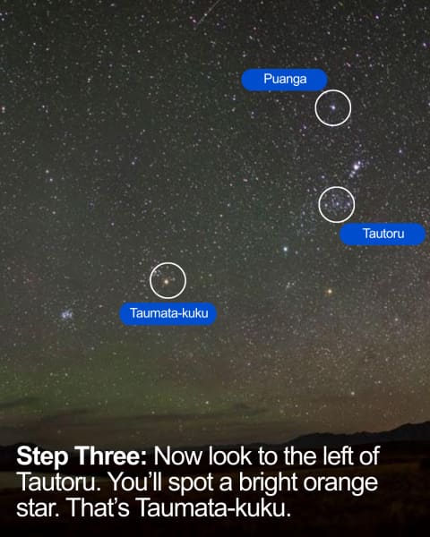 A visual guide for how to find the stars of Matariki.