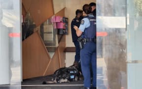 Armed police including a police dog at Goodview Apartment Hotel.