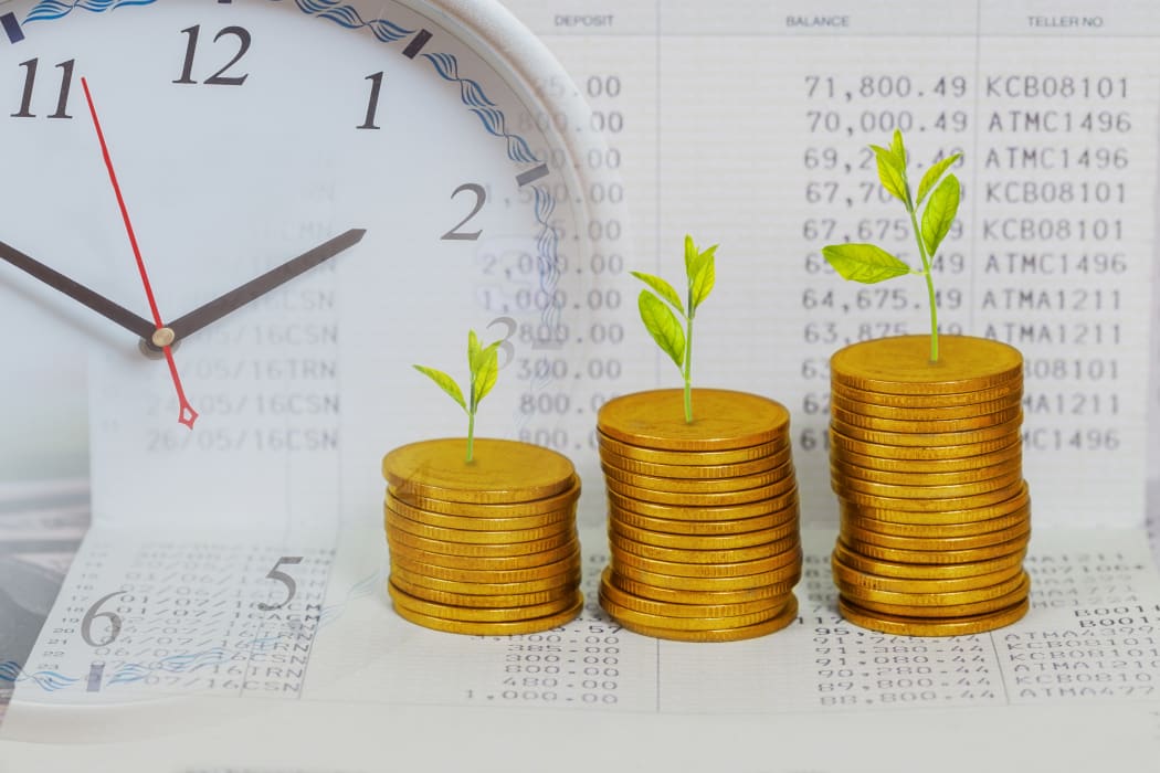 Tree growing on coins stack ,concept of investment growth.