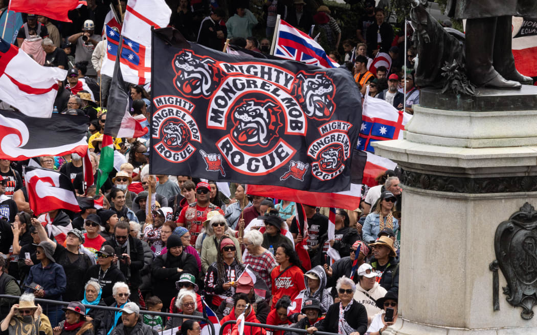 The hikoi against the Principles of the Treaty of Waitangi Bill reaches Parliament.