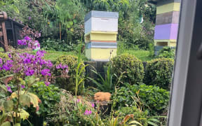 Permaculture garden complete with lawn mowing guinea pig