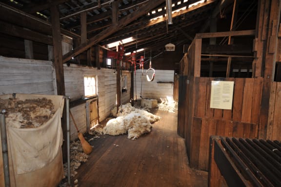 Interior of the shearing shed at Brickendon Historic Estate