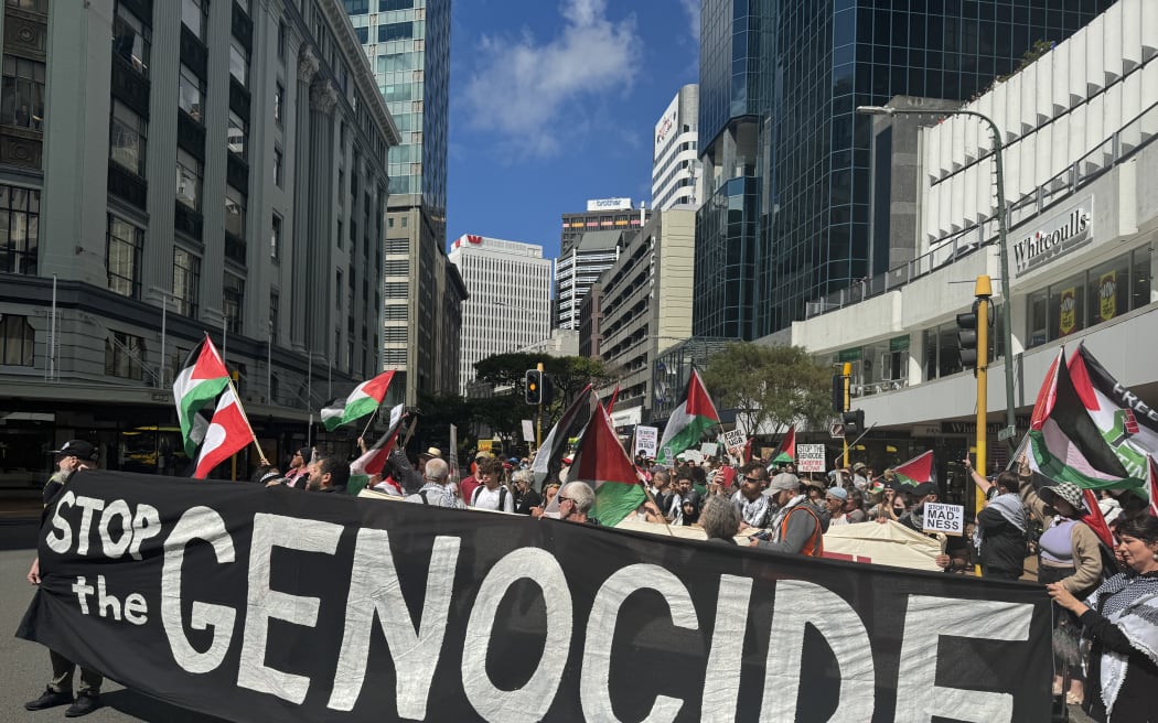 Politicians and protesters gathered on the steps at parliament on 13 February 2024, calling for more action in regards to the war in Gaza.