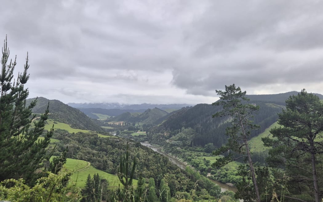 The view of the Whanganui River from the top of the Whanganui River Road.