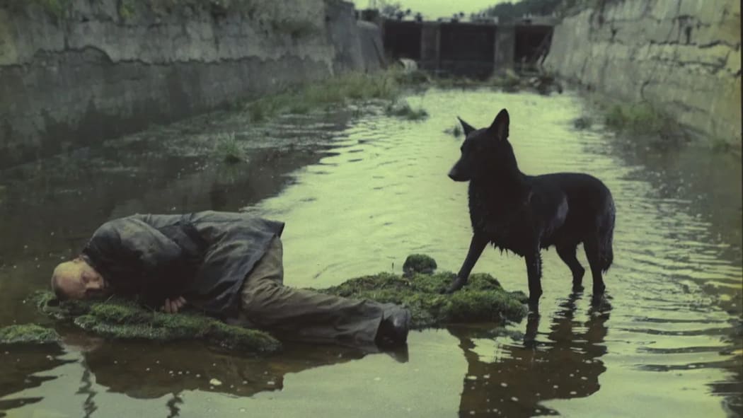 Movie still from Andrei Tarkovsky's 1979 film Stalker showing a man lying in a stagnant pool of water watched over by a black dog.