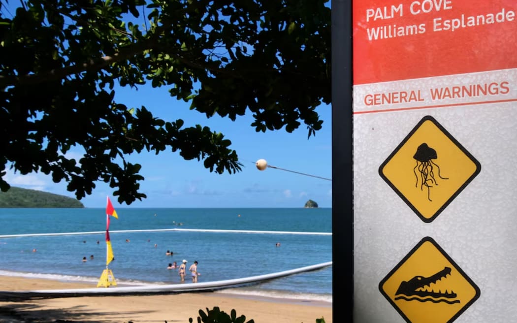 Stinger nets for swimmers in north Queensland are designed to keep out box jellyfish, not Irukandji.