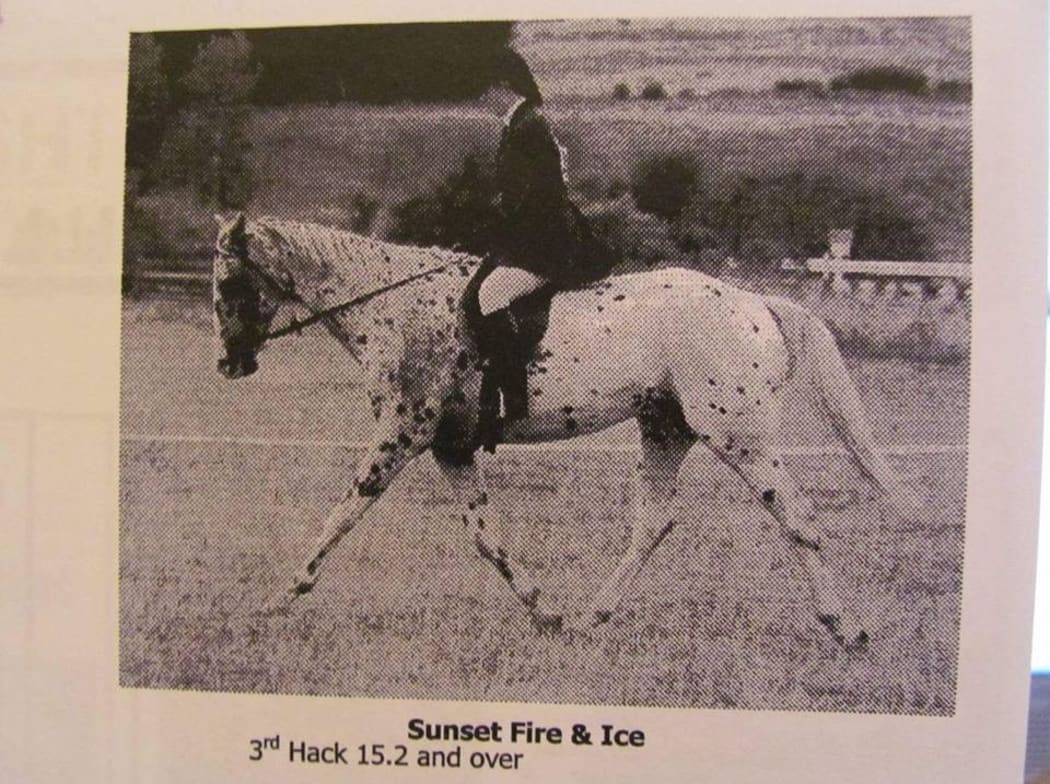 Sarah Thrasher's horse Ice in 2003.