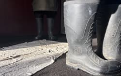 Ken and Fran Henderson’s Kaikōura home was flooded during torrential rain this week. The carpet remains sodden and the couple are staying in a motel while they wait to hear from their insurance company about the repair work that’s needed.