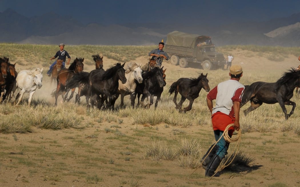 Some Mongolian horse action