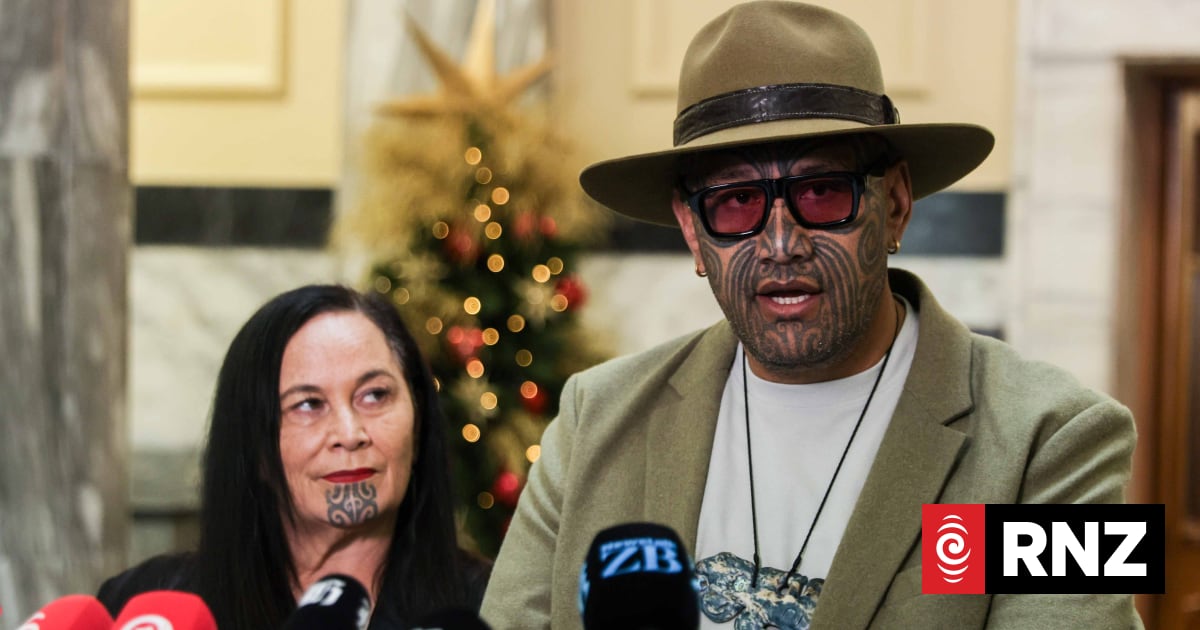 Te Pāti Māori warned election strategy could put Māori seats at risk