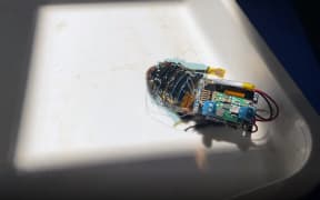 Kenjiro Fukuda and his team at the Thin-Film Device Laboratory at Riken developed a flexible solar cell film that can fit on a cockroach's abdomen.