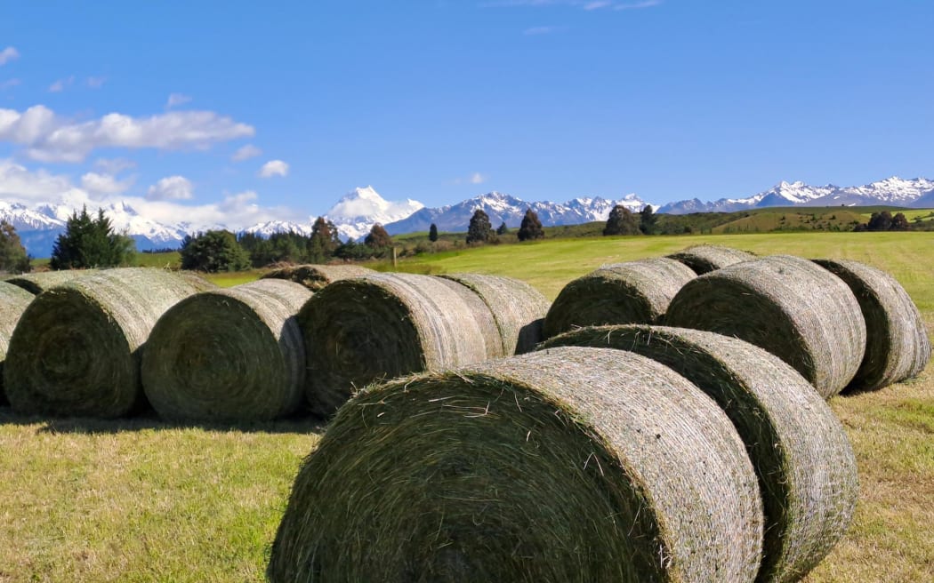 Baleage cut ahead of rain scheduled this weekend.