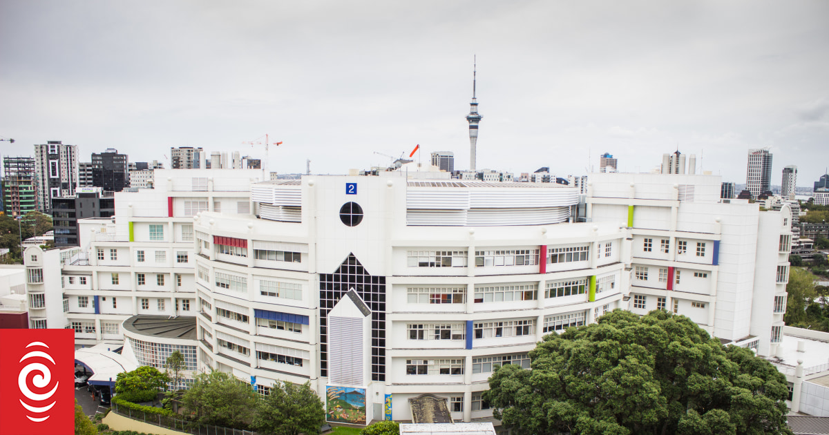 Health NZ misconduct hotline: No coordinator at the other end