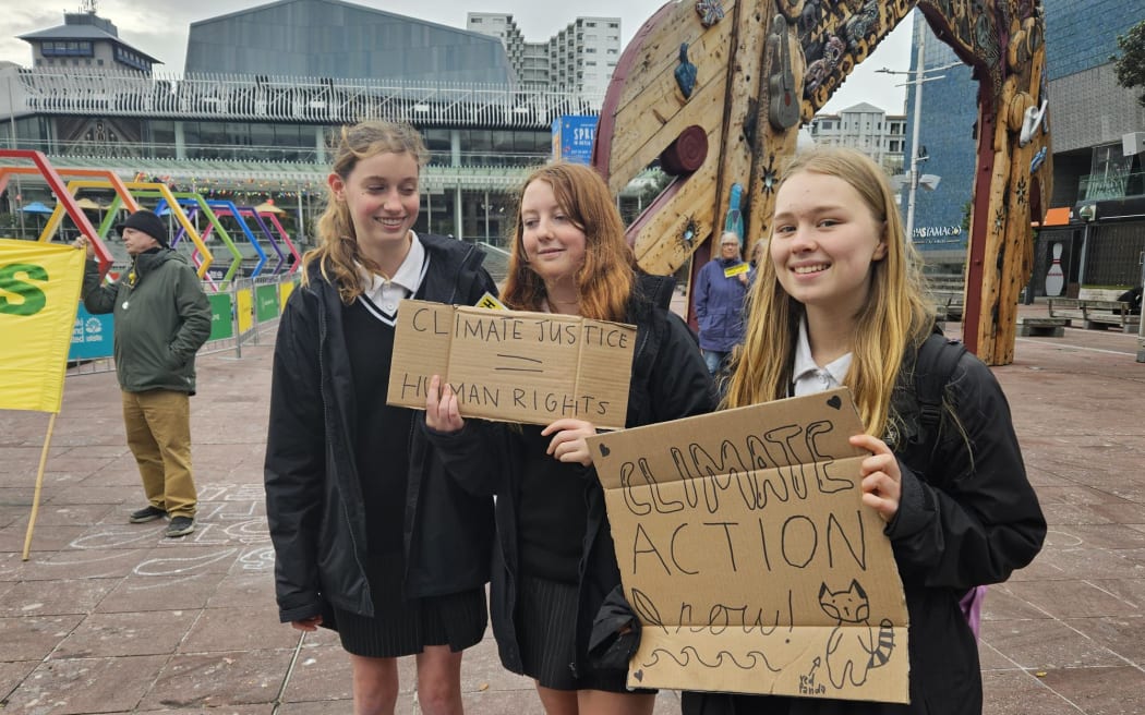 Protesters at the School Strike 4 Climate in Auckland on 29 September 2024.