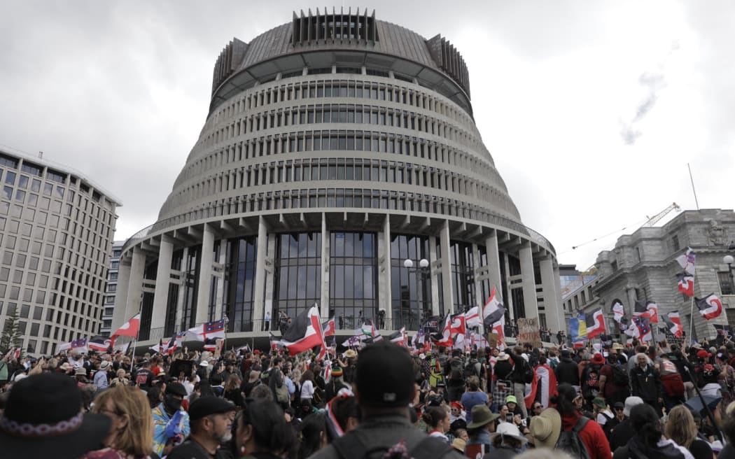 The national hīkoi converges at Parliament Grounds on 19 November 2024.