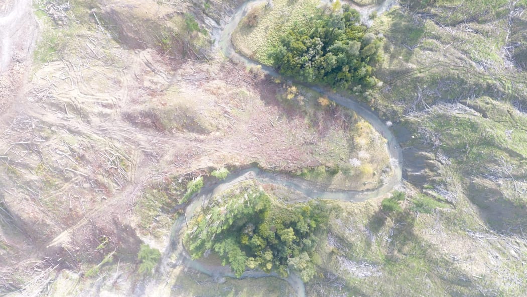 An aerial view of a post-harvest area that has remnant native trees and will be enhanced with native tree plantings to protect and stabilise land.