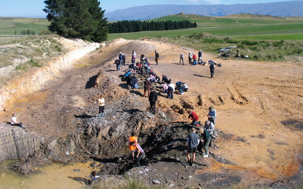 Students hunt for fossils, 2011