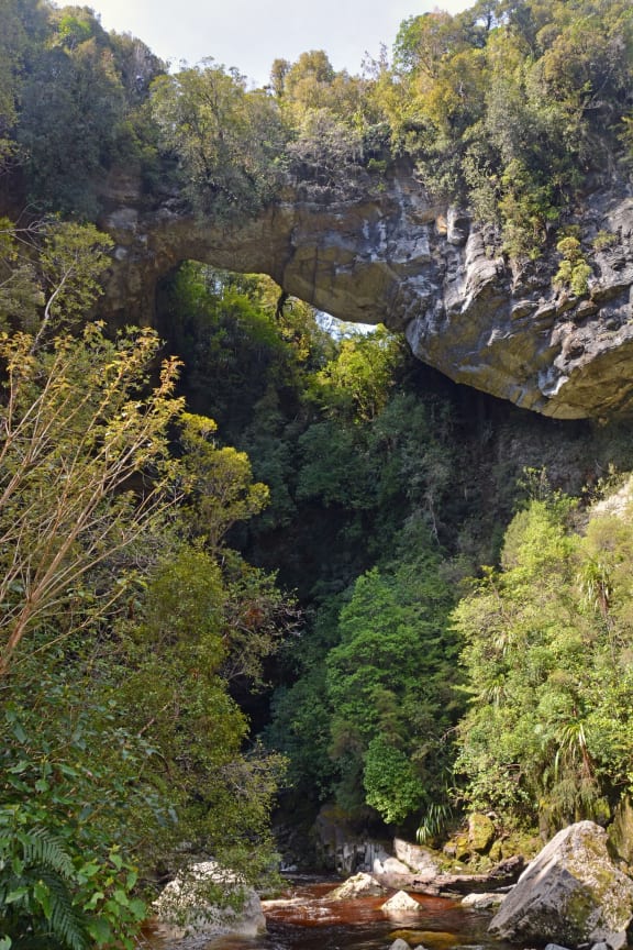 An amazing limestone arch hangs 40 metres above the Oparara River near Karamea, West Coast New Zealand.
