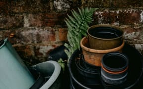 A stack of plant pots piled up in a yard, with a fern.