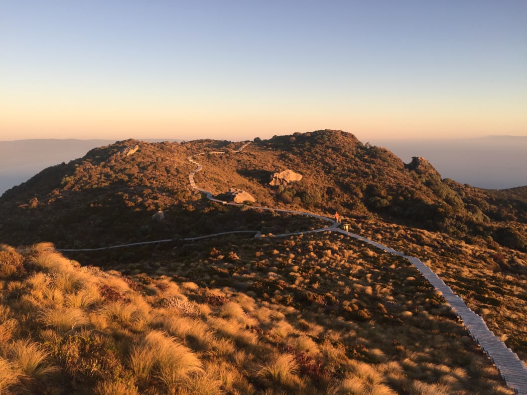 Hump Ridge Track.