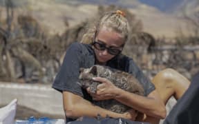 A woman cradles her cat after finding him in the aftermath of a wildfire in Lahaina, western Maui.