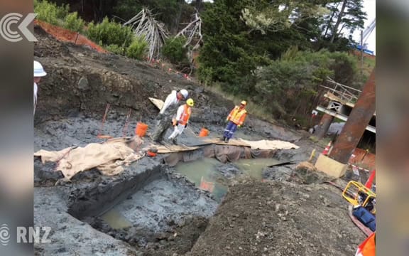 10m waka unearthed during road build