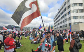 Hikoi welly