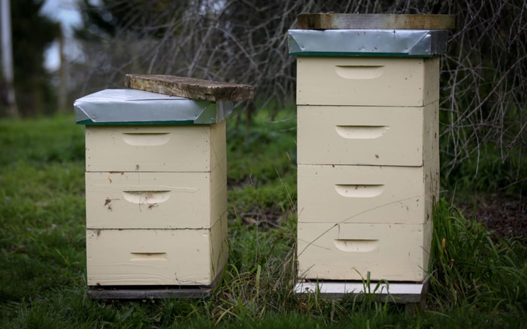 Beehive on an organic farm.