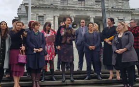 Louisa Wall addresses the crowd