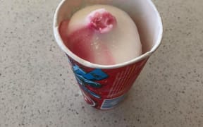 Popsicle Slushie