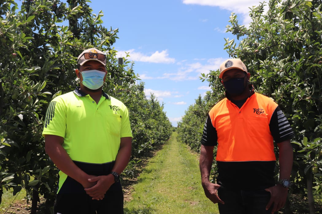 RSE workers So'o Fala (left) from Samoa and Joel Bruno Lee from the Solomon Islands, are celebrating Christmas by the apple orchards of Hawke’s Bay this year.