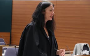 Lawyer Sue Grey, who is acting for the Society for the Protection of Aotea Community and Ecology Incorporated (SPACE), and Kelly Klink.